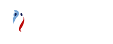 Foci EB 2016 Franciaország